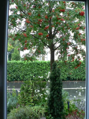 KuechenfensterblickSommer1.jpg
