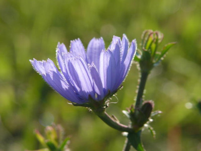 P1300020.JPG