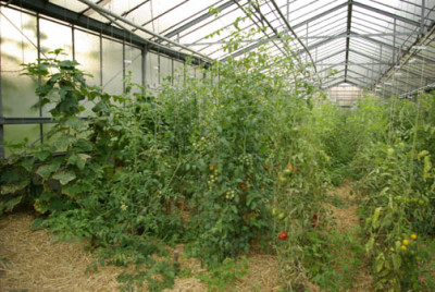 GH_2010-09-07.jpg