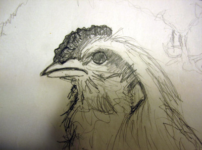 huhn_ausgestopft.jpg