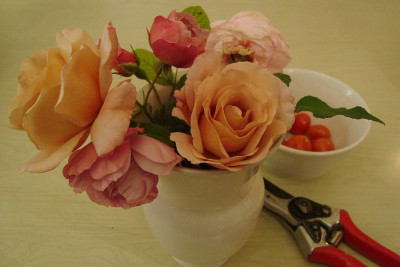 rosenstrauss_20100908.jpg