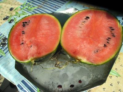 HimeKanseninnen.jpg