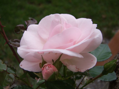 DSCF5876-k.jpg
