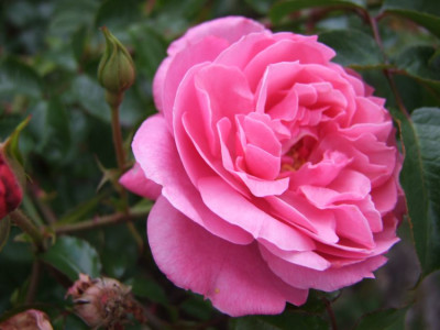 DSCF5851-k.jpg