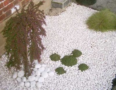 whitePebbles1.jpg