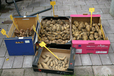 Kartoffeln1009101.jpg