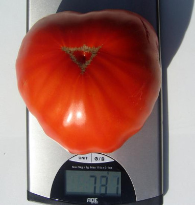 DickstesDing2010.JPG