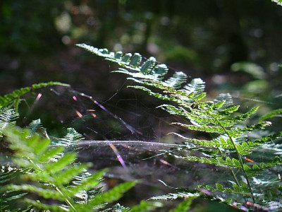 DSC00022.1.jpg