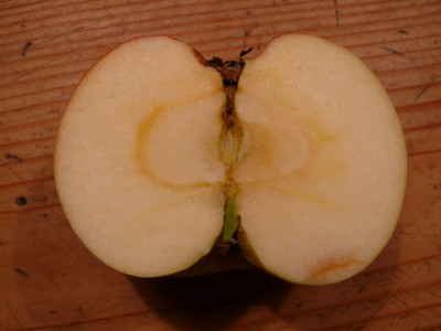 P1240147_1.JPG