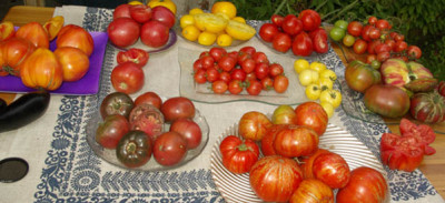 2010-09-12.jpg