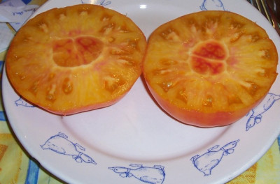 Sep_10_029_unbekannte_Tomate_aufgeschnitten.jpg