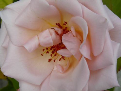 100910a.jpg