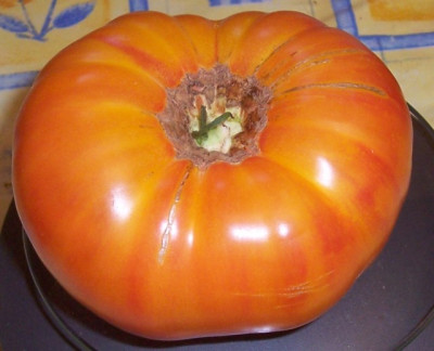 Sep_10_020_Fleischtomate.jpg