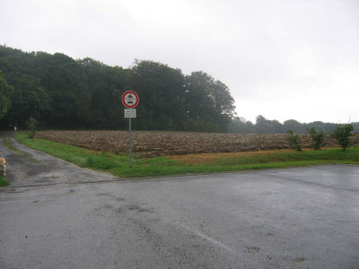 bisgesternwiese.JPG