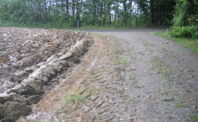 beschnitten_1.jpg