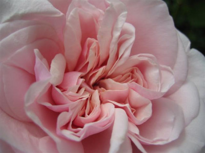 sep2010_067_Small.jpg