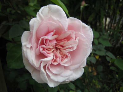 sep2010_060_Small.jpg