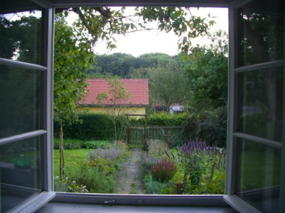 IMGP9323.jpg