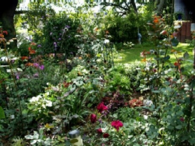 teilgarten_september2010.jpg