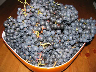K640_IMG_1804.JPG