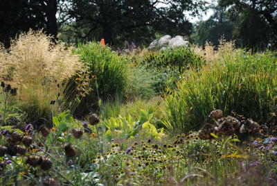 wisley08_web.jpg