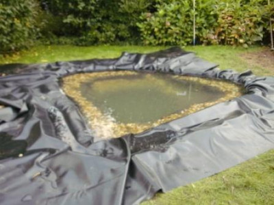 Teich2.JPG