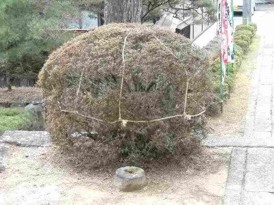Joeyizan_Hokkei_Tempel_Schutz_2.jpg