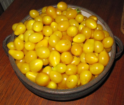 Ildi_100920.jpg