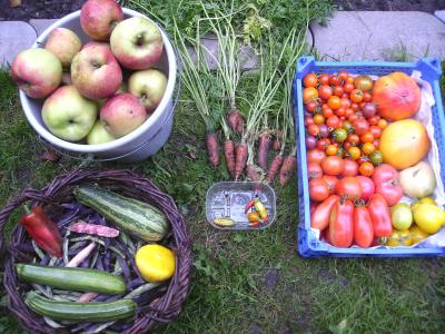 Gartenernte.jpg