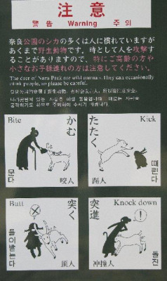 The_deer_of_Nara....jpg