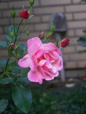 Sept_2010_Marchenland.jpg