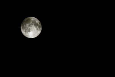 600-September2010-019.jpg
