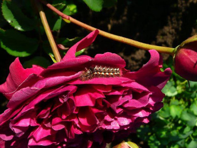 tg_100923_4.jpg