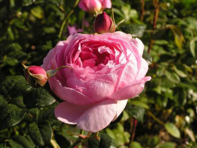 100923_12a.jpg