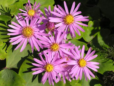 100923_18a.jpg