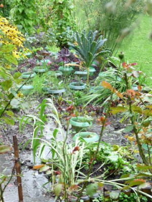 25.09.2010.20.JPG