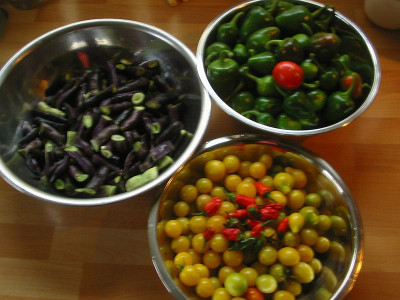 Ernte_25.09.10.jpg