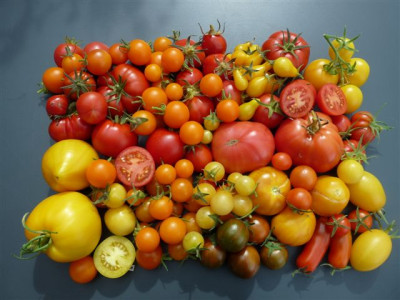 26.09.2010.41.JPG