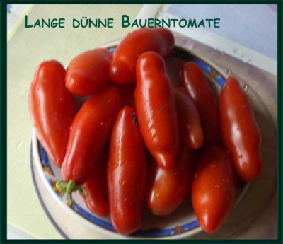 Lange_duenne_Bauerntomate.jpg