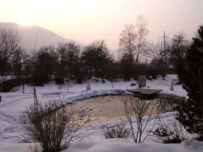 garten.jpg