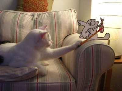 louis_simons_cat.jpg