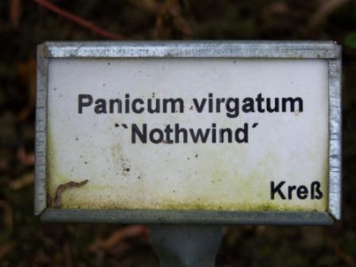 Northwind.JPG