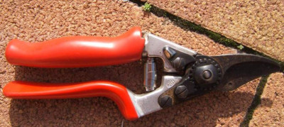 Felco_Nr_12.JPG