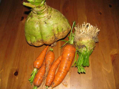 K640_IMG_1839.JPG