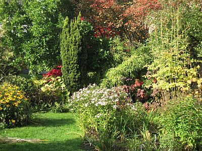 Herbst_72122.jpg