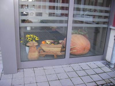 groerKurbis.jpg