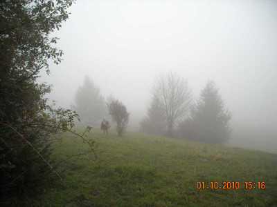 DSCN1196.jpg