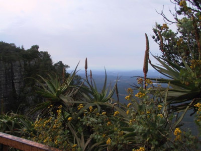 Sudafrika_2008_042.JPG