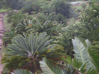 Sudafrika_2008_402.JPG