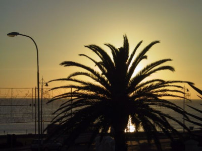 Sudafrika_2008_143.JPG
